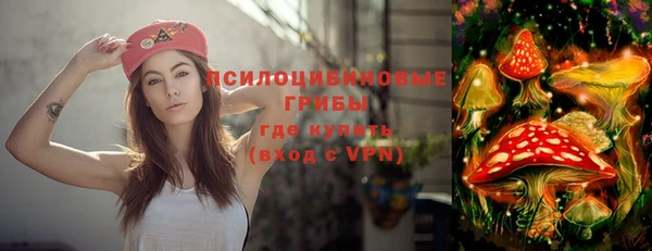 спиды Россошь