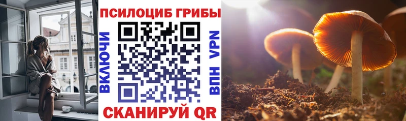 Купить закладки  Кострома  Галлюциногенные грибы Cubensis 