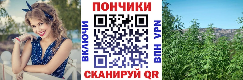 Купить  Кострома  Шишки марихуана марихуана 